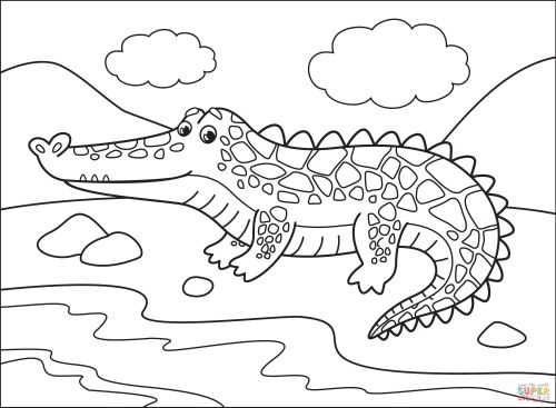Alligator Copy Colour Book
