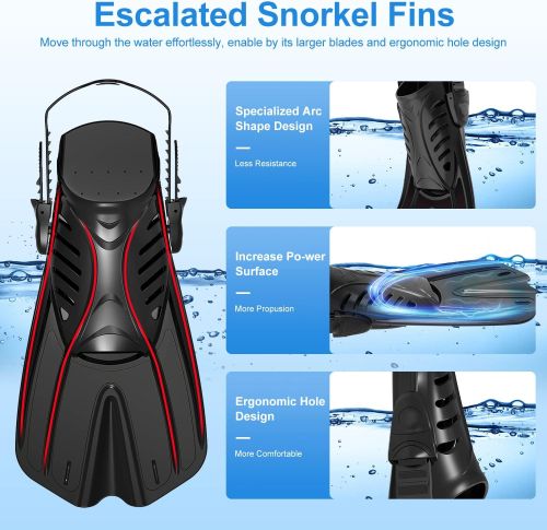 Dive Pro Snorkel Set
