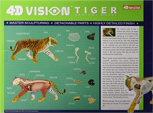 4D Vision Animal-Tiger