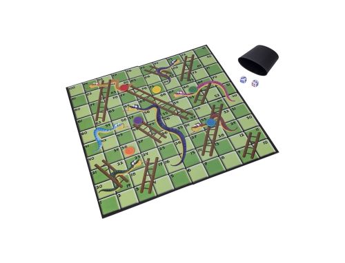 HALSALL SNAKES AND LADDERS GAME