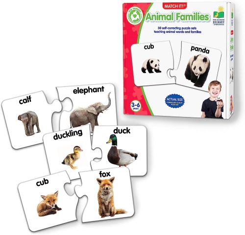 Match It!- Animal Families