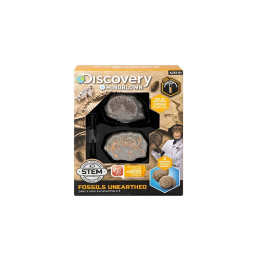 Toy Excavation Kit Mini Fossil 2Pc