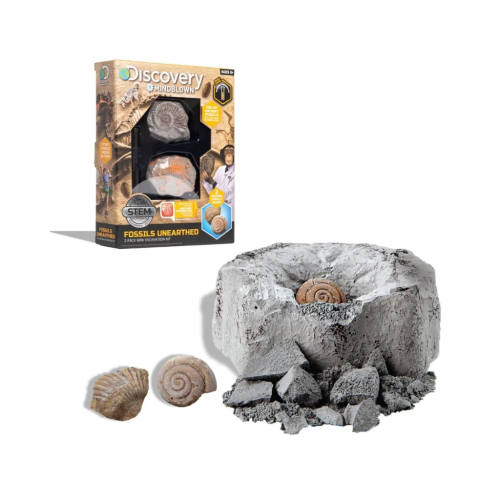 Toy Excavation Kit Mini Fossil 2Pc