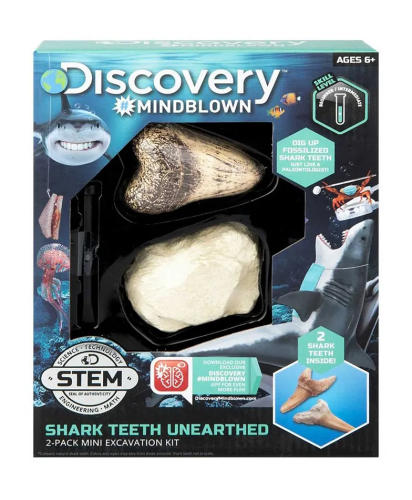 Toy Excavation Kit Mini Shark Tooth 2Pc