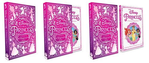 Igloo- Disney Princess: A Treasury Of Magical Stories