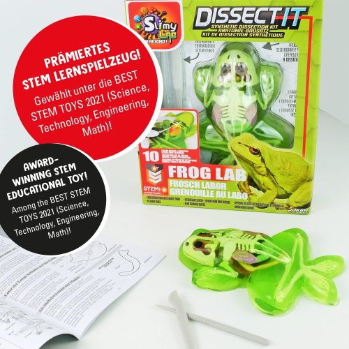 Joker Slimy Dissect-It Frog Lab