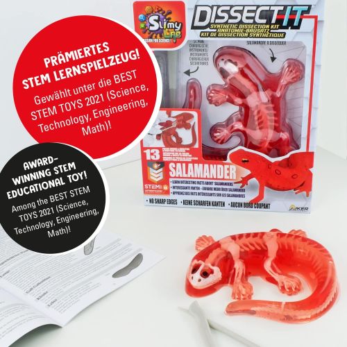 Joker Slimy Dissect-It Salamander