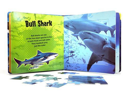 Sharks My First Puzzle Book