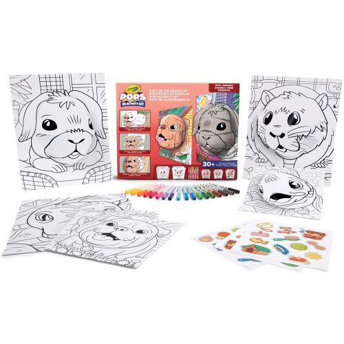 CRAYOLA - POPS SUPER 3D ACTIVITY SET - PETS