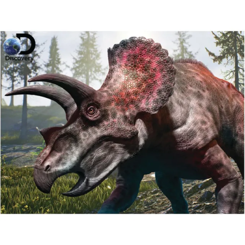 DISCOVERY - TRICERATOPS 500PC PUZZLE
