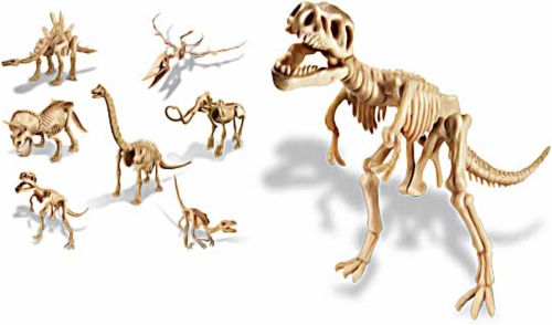 4M Kidz Labs Velociraptor Skeleton