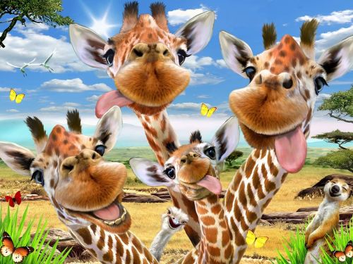 PRIME 3D HOWARD ROBINSON - GIRAFFE SELFIE 48 PC PUZZLE WITH