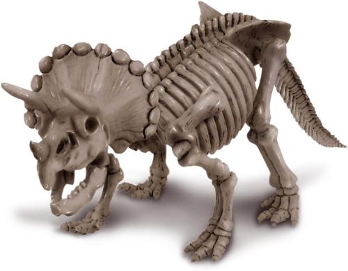 4M Kidz Labs Dig A Dinasour Triceratops Skeleton Kit