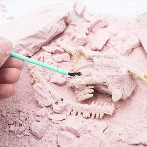 4M Kidz Labs Dig A Dinasour Stegosaurus Skeleton Kit