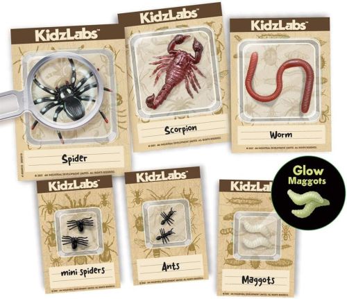 Kidzlabs/Creepy Crawly Digging Kit