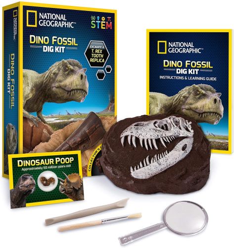 NATIONAL GEOGRAPHIC DINO FOSSIL DIG KIT