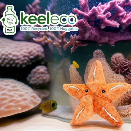 25Cm Keeleco Starfish