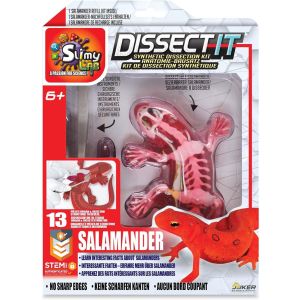 Joker Slimy Dissect-It Salamander