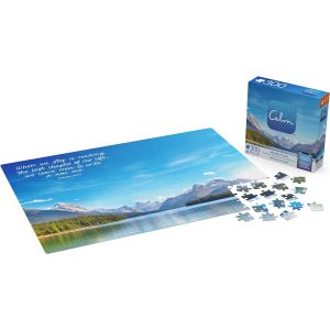 PUZZLE CALM 300PC 8X8 ASST.